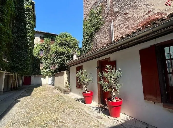 Petite Chartreuse Calme En Plein Coeur De טולוז