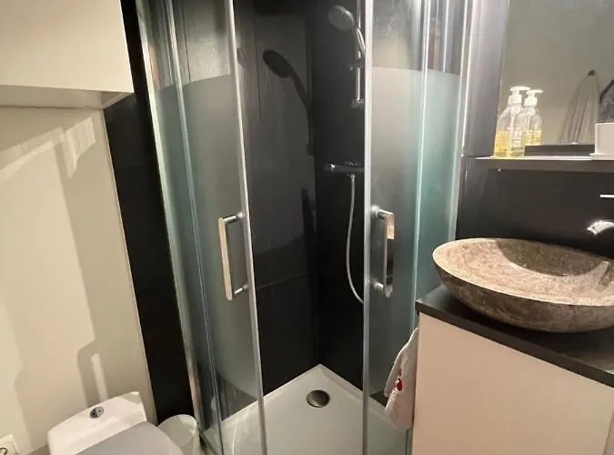 公寓 Petite Chartreuse Calme En Plein Coeur De