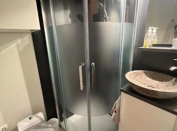 公寓 Petite Chartreuse Calme En Plein Coeur De