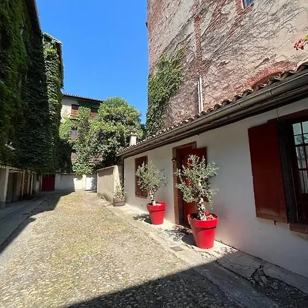 Petite Chartreuse Calme En Plein Coeur De تولوز